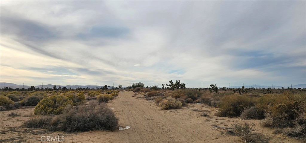 MLS #SR25244226 image #1