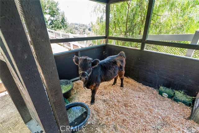 MLS #SR25244823 image #46