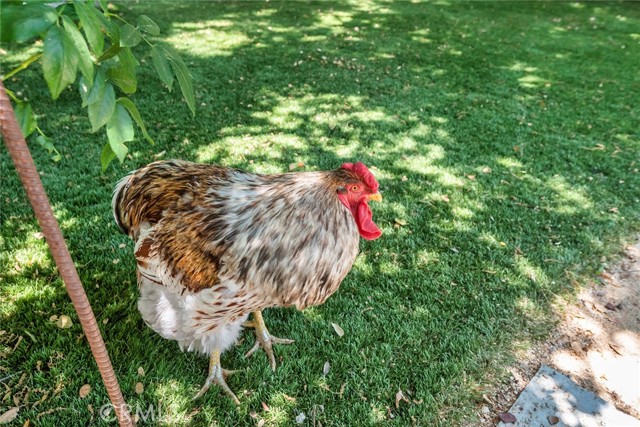 MLS #SR25244823 image #48