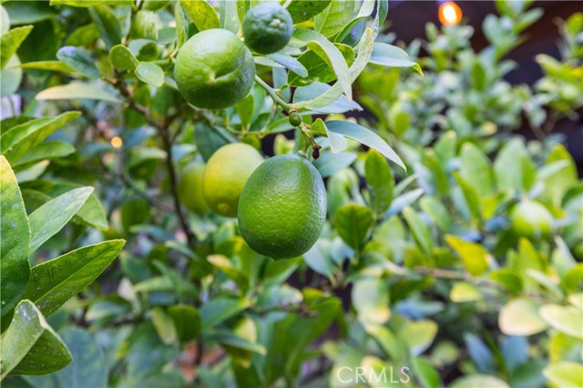 MLS #SR25244931 image #47