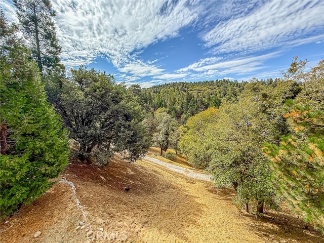 MLS #SR25245689 image #62