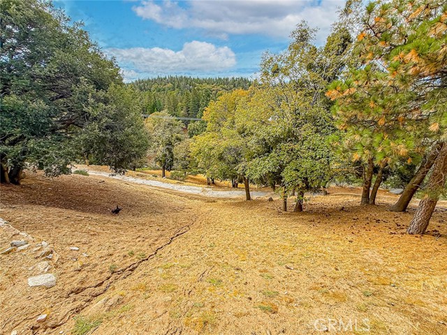 MLS #SR25245689 image #63