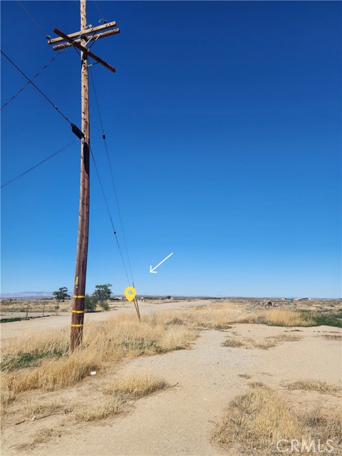 MLS #SR25246384 image #7
