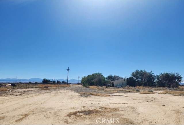 MLS #SR25246384 image #8