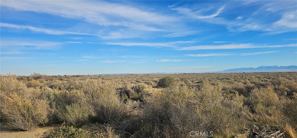 MLS #SR25246420 image #4