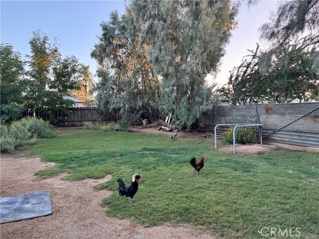 MLS #SR25246785 image #25