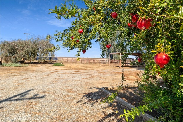 MLS #SR25247070 image #52