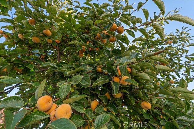 MLS #SR25247701 image #37