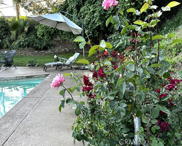 MLS #SR25194725 image #19