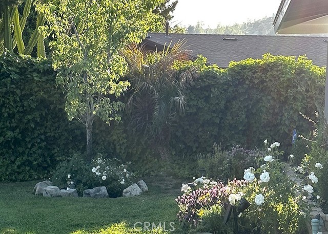 MLS #SR25194725 image #4