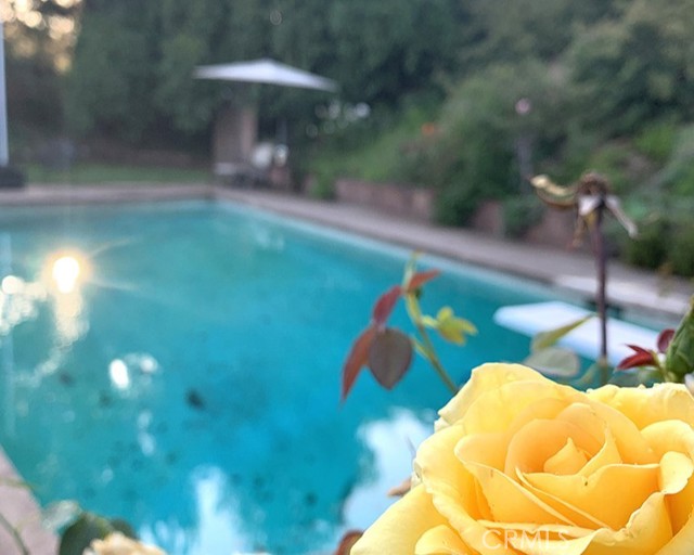 MLS #SR25194725 image #9