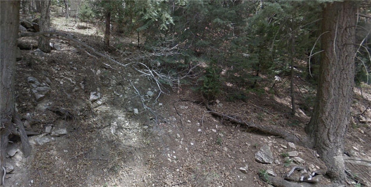 MLS #SR25249802 image #1