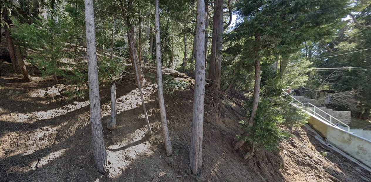 MLS #SR25249838 image #1