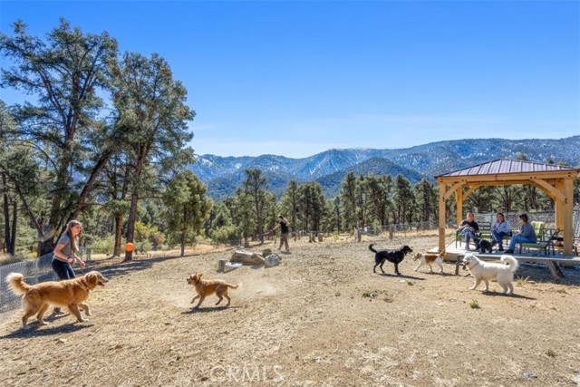 MLS #SR25250394 image #39