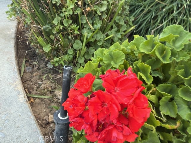 MLS #SR25251061 image #13