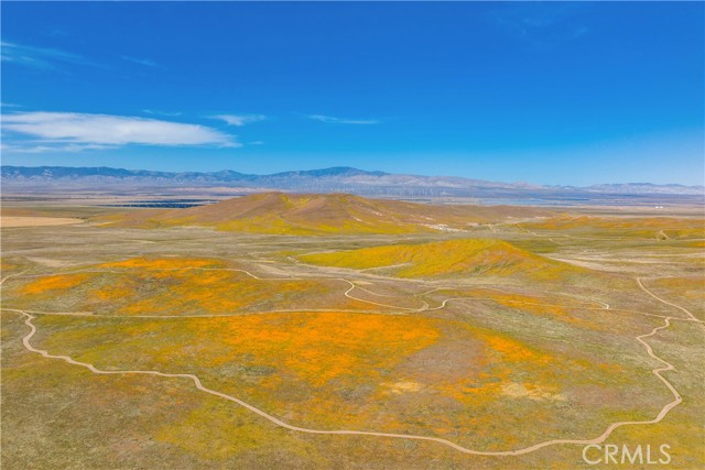 MLS #SR25251591 image #1