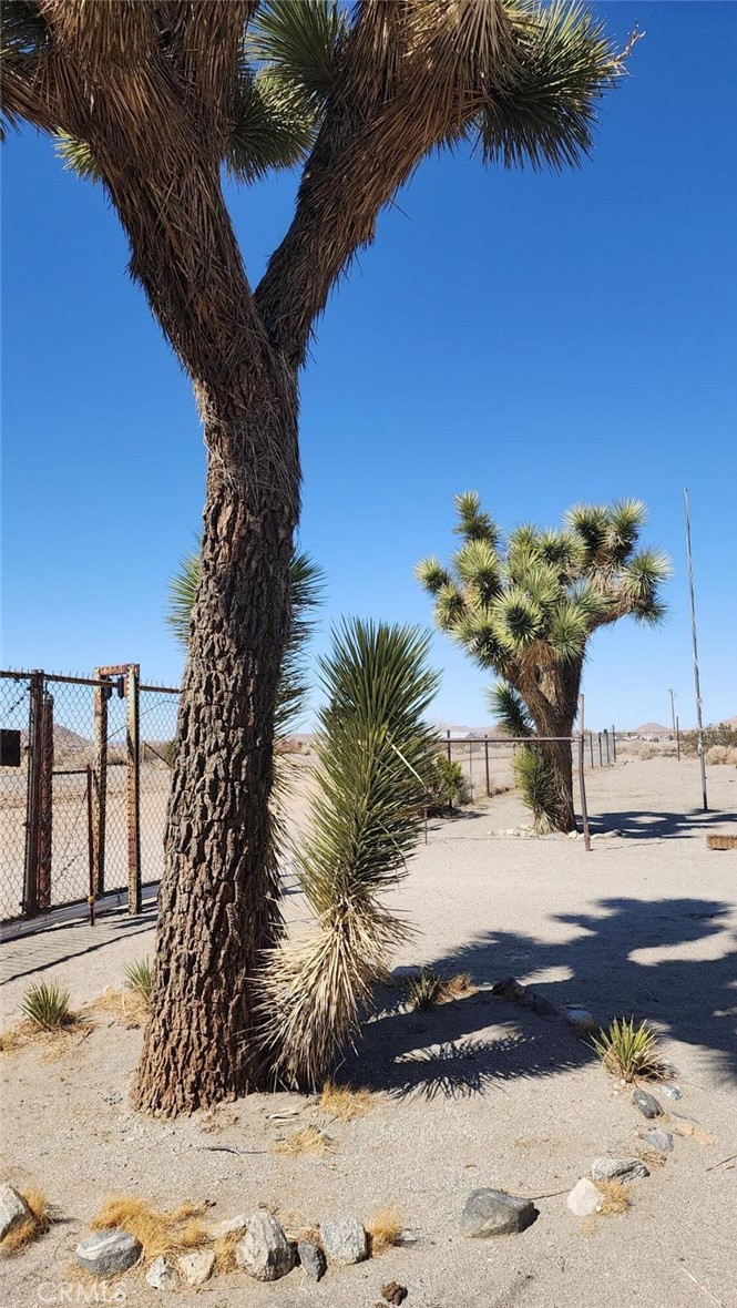 MLS #SR25252509 image #1