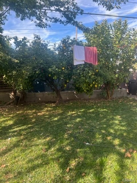 MLS #SR25252615 image #8