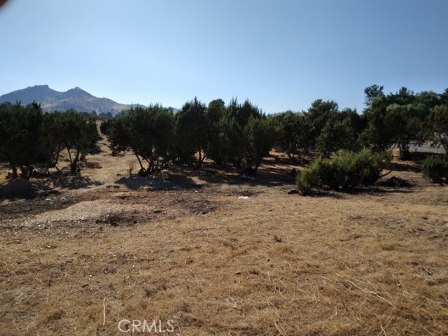 MLS #SR25253899 image #1