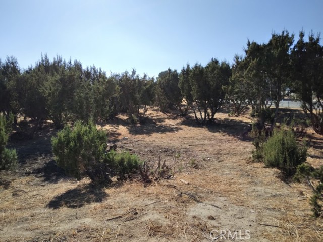 MLS #SR25253899 image #2