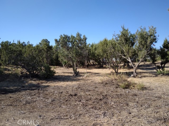 MLS #SR25253899 image #3