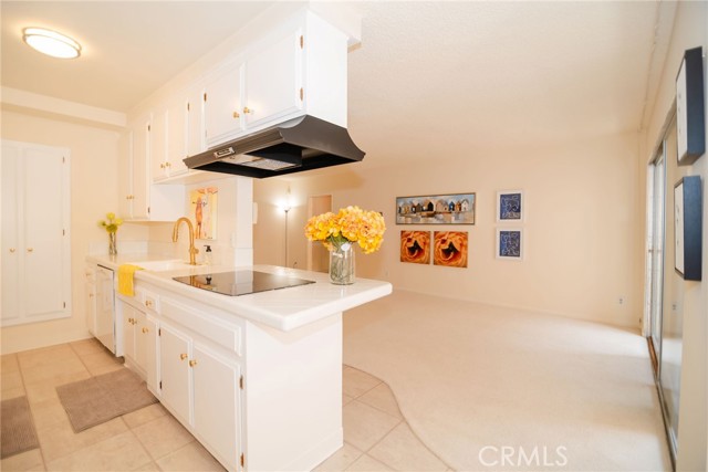 MLS #SR25253909 image #7