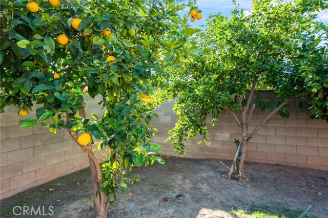 MLS #SR25253952 image #25