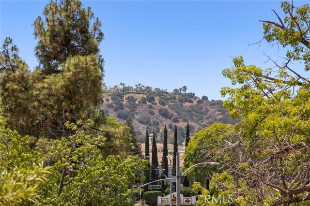 MLS #SR25254577 image #29