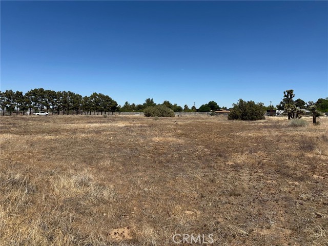 MLS #SR25255276 image #0