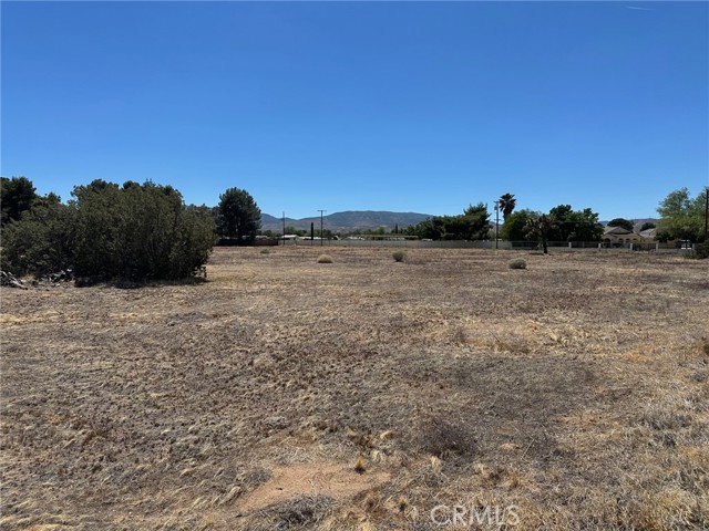 MLS #SR25255276 image #6