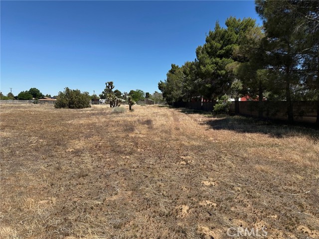 MLS #SR25255276 image #9