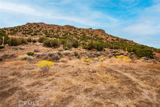 MLS #SR25255353 image #45