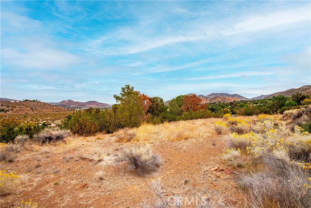 MLS #SR25255353 image #47