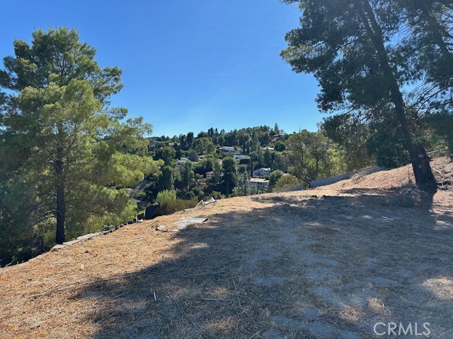 MLS #SR25255784 image #9