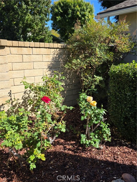 MLS #SR25255823 image #24