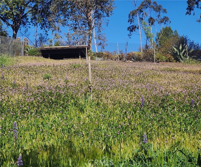 MLS #SR25257581 image #41