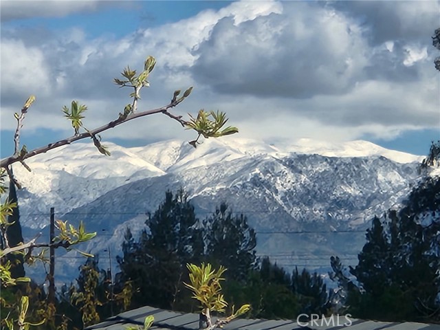 MLS #SR25257581 image #42