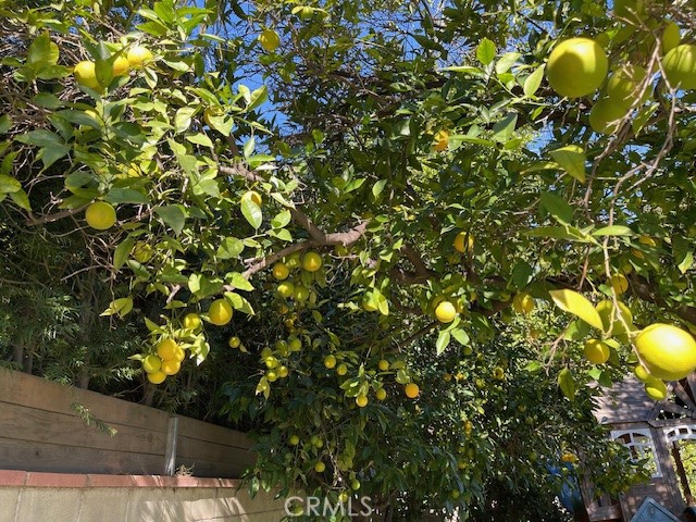 MLS #SR25258338 image #29