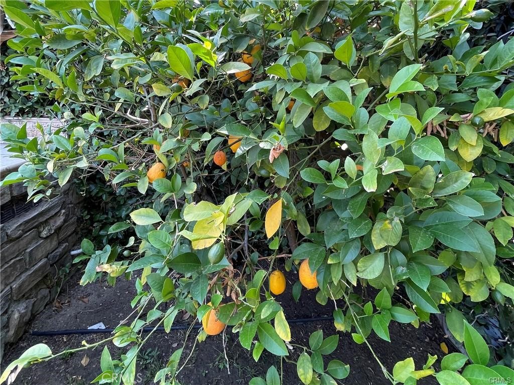 MLS #SR25260071 image #32