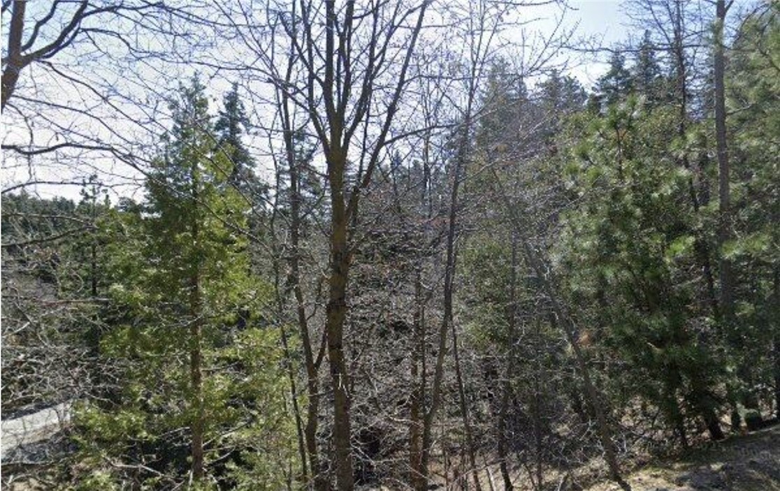 MLS #SR25261238 image #1