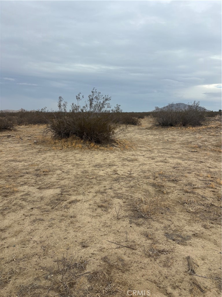 MLS #SR25261453 image #4