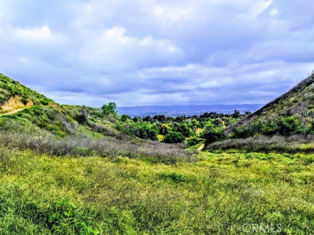 MLS #SR25261480 image #48