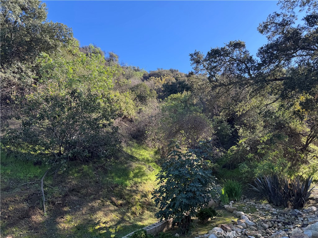 MLS #SR25261512 image #12