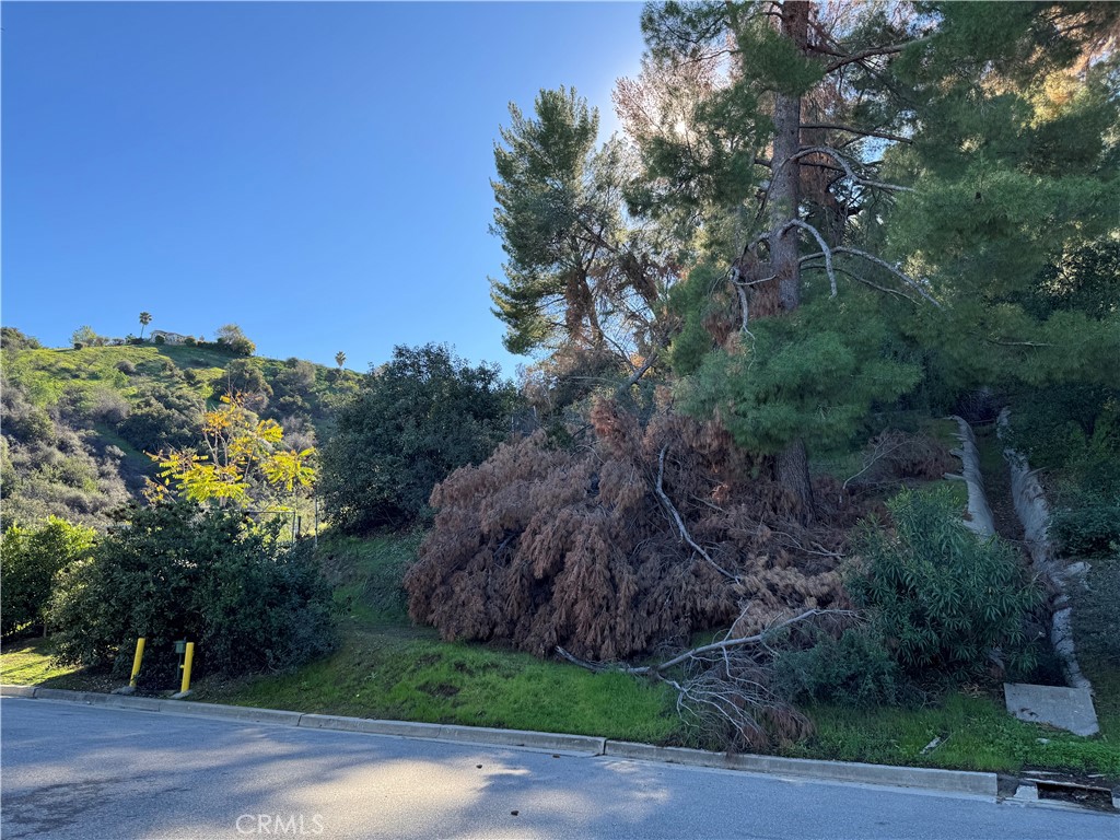 MLS #SR25261512 image #3