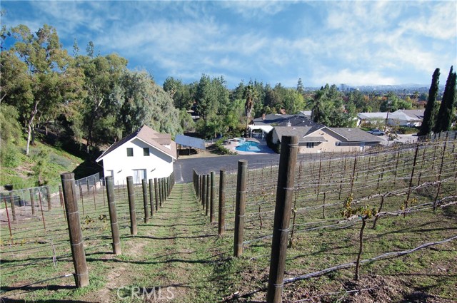 MLS #SR25262091 image #1