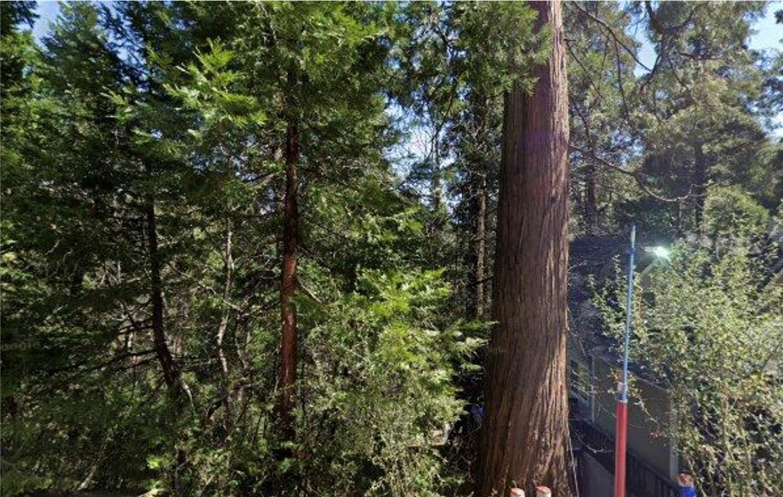 MLS #SR25262244 image #1