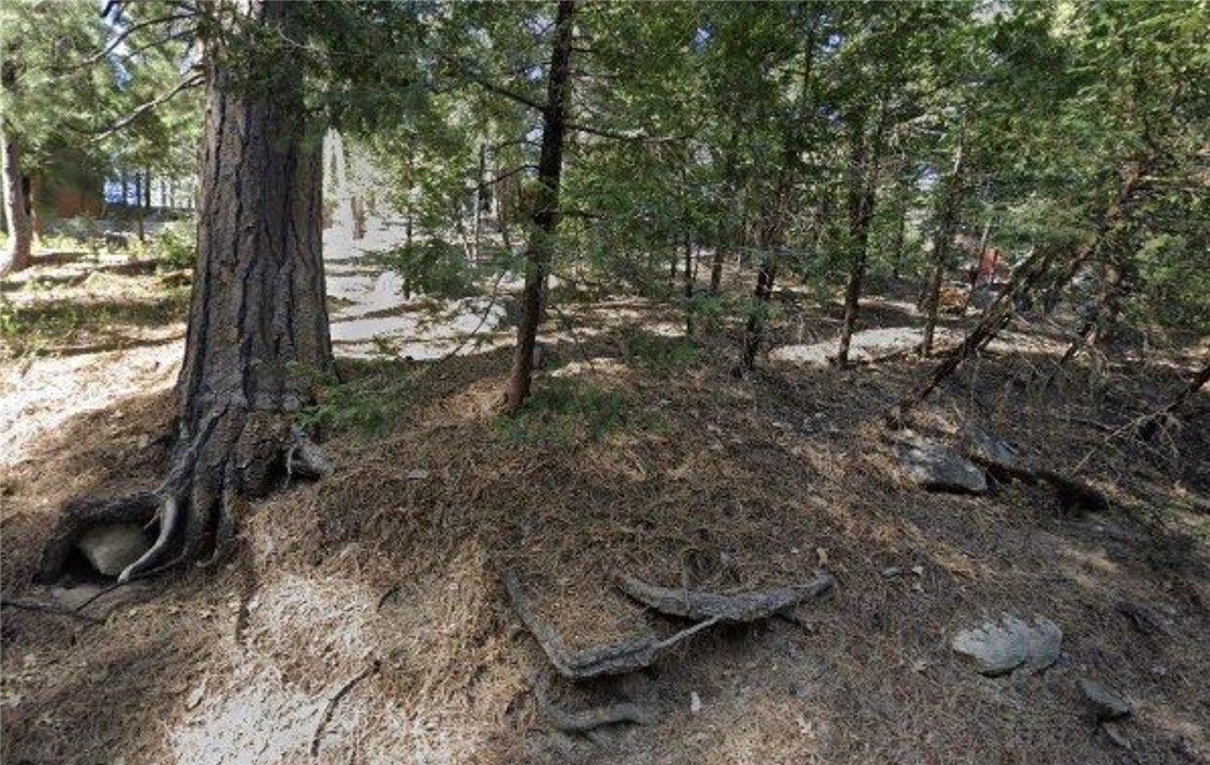 MLS #SR25262256 image #1