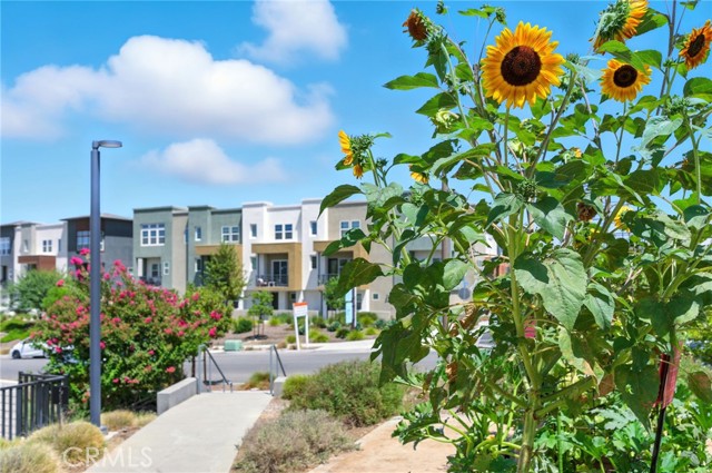 MLS #SR25262354 image #18