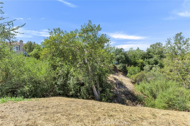 MLS #SR25262574 image #33