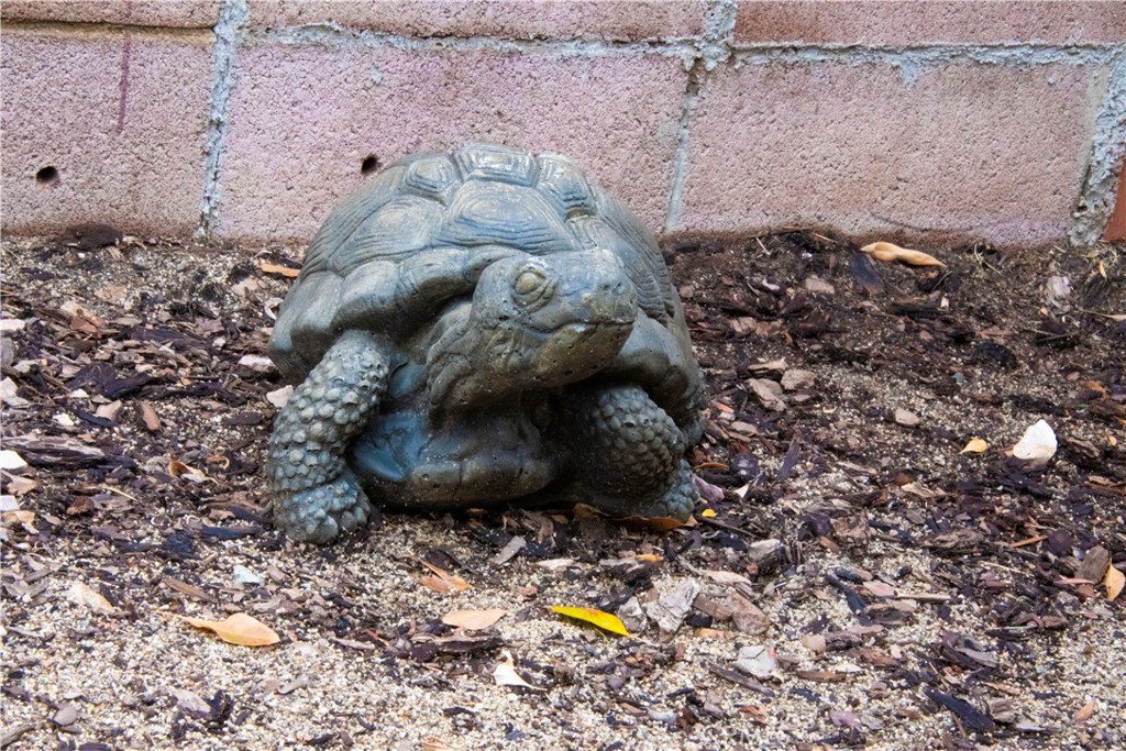 MLS #SR25263591 image #8